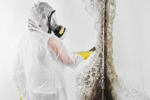 Best Mold Testing  in Quinnipiac University, CT