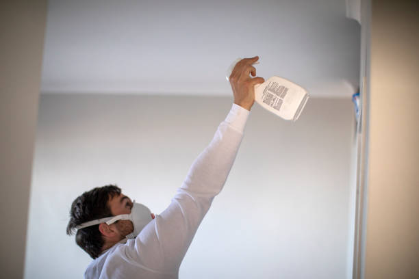 Best Best Mold Removal Companies  in Quinnipiac University, CT