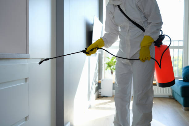 Reliable Quinnipiac University, CT Mold Removal Solutions