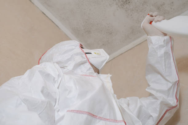 Best Local Mold Removal Service  in Quinnipiac University, CT