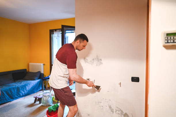 Best Mold Removal and Inspection  in Quinnipiac University, CT